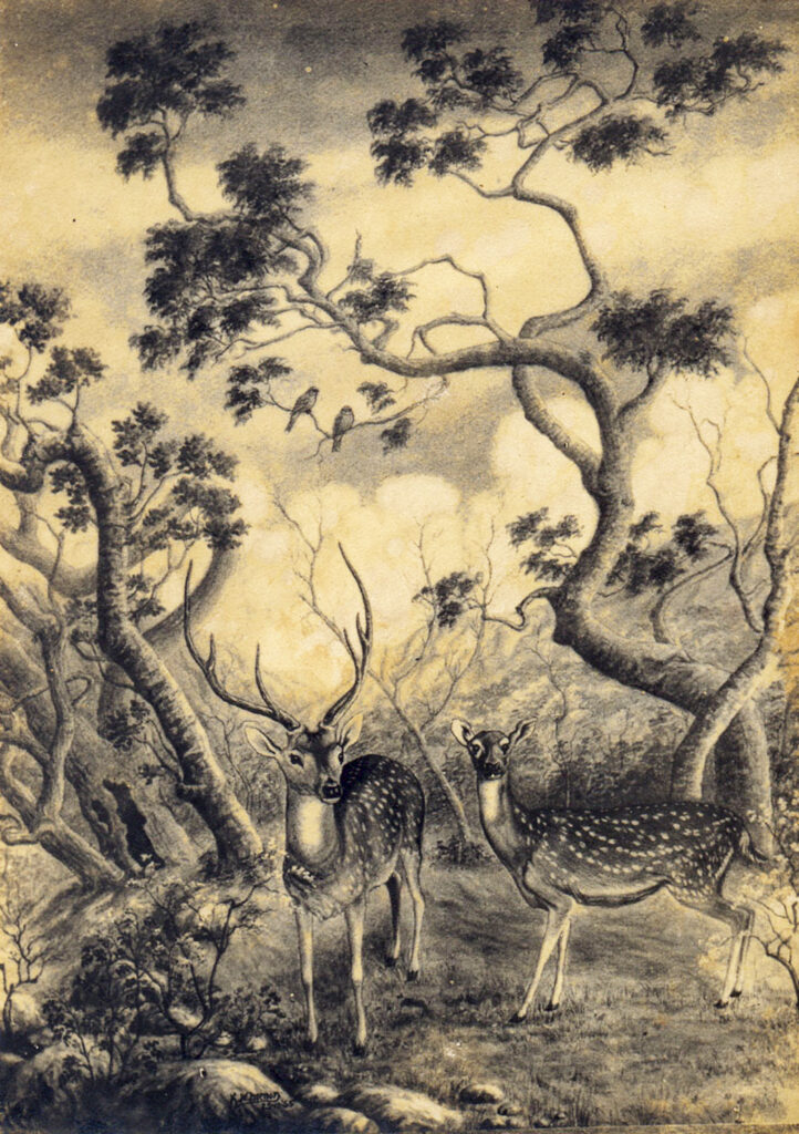 Father- Paintings - Two Deers2 B&W